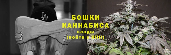 ПСИЛОЦИБИНОВЫЕ ГРИБЫ Армянск