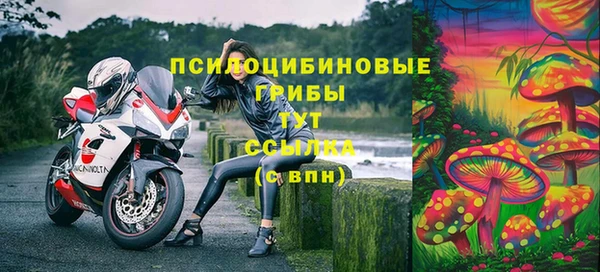 2c-b Арсеньев