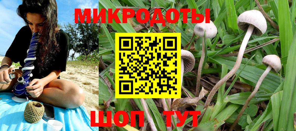 Псилоцибиновые грибы Magic Shrooms  Вход с VPN  даркнет сайт  Темрюк  Псилоцибиновые грибы GOLDEN TEACHER 