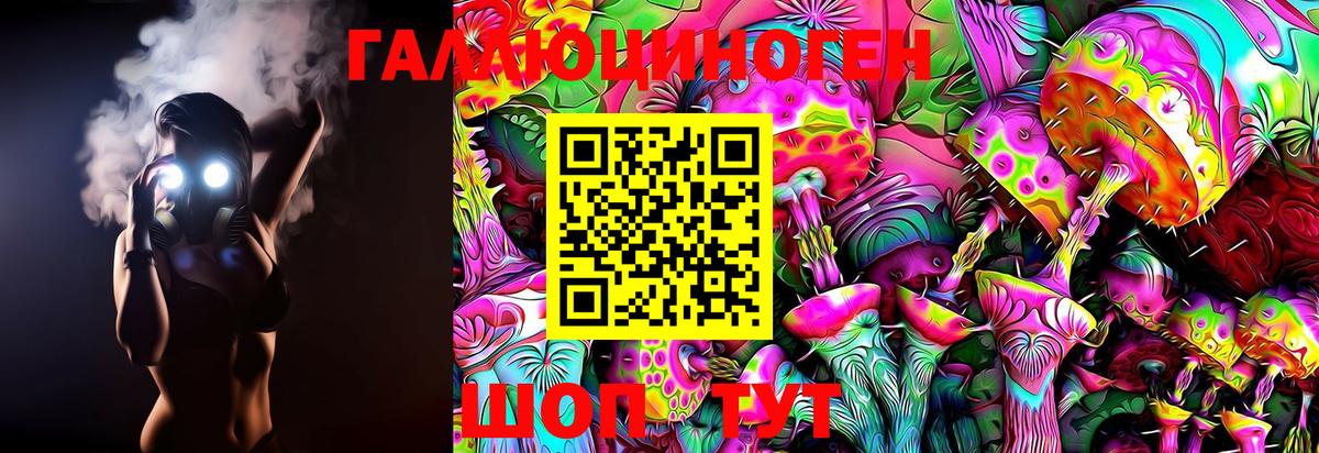 Псилоцибиновые грибы Psilocybe Темрюк